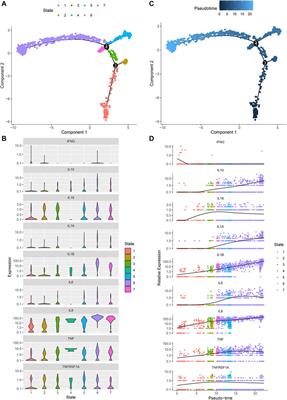 Single-Cell Profiles of Age-Related Osteoarthritis Uncover Underlying Heterogeneity Associated With Disease Progression